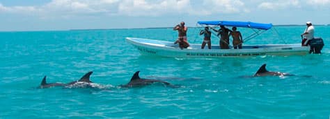 Sian Ka’an Biosphere Reserve : paradis naturel du Mexique guide français